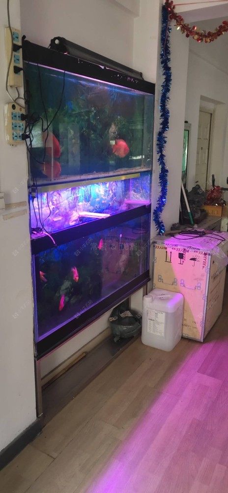 常州中山路在售二手房房源室内图_小牛看房