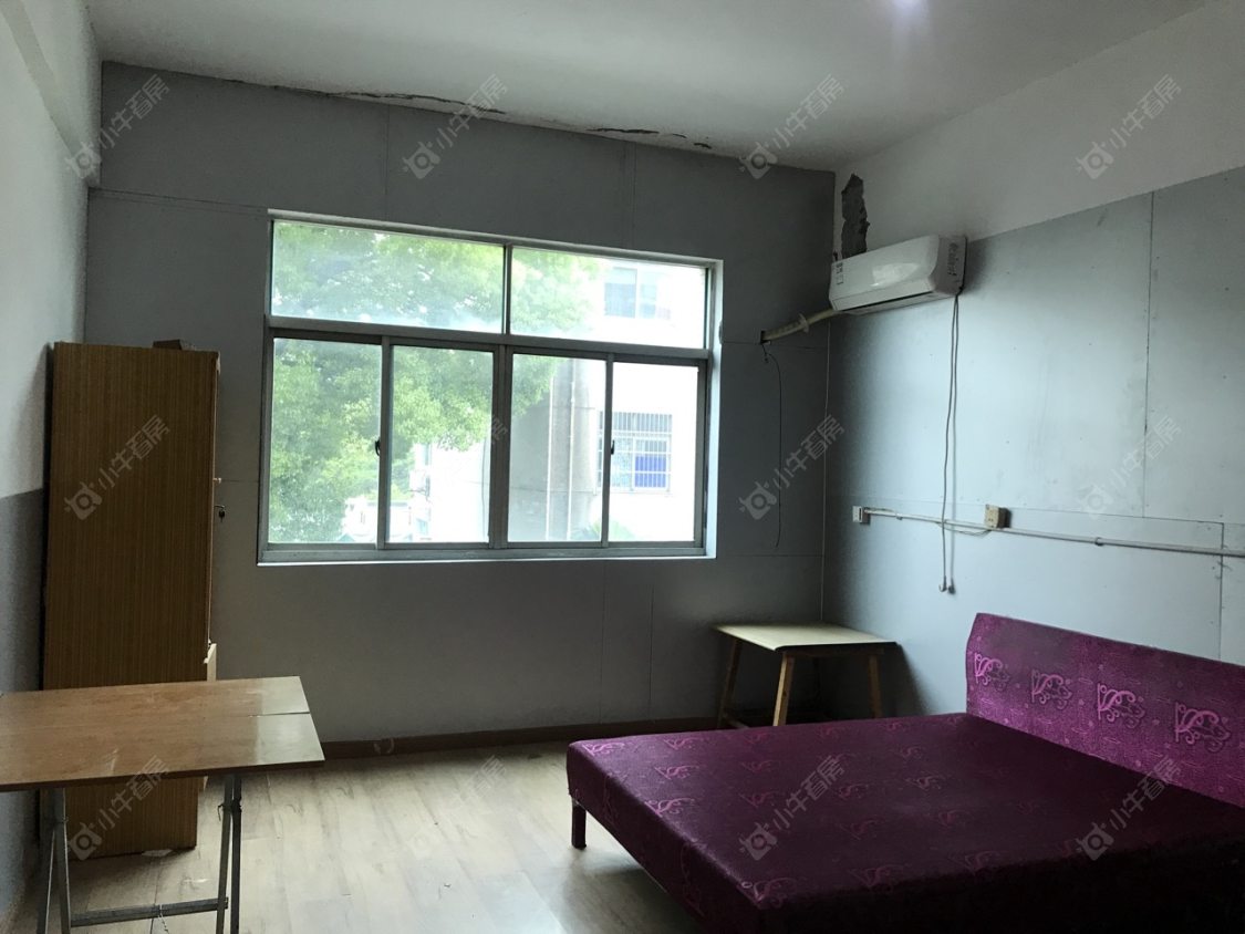 常州新乐路1室1卫出租_小牛看房