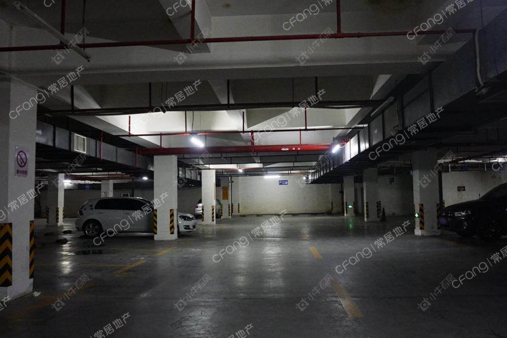 d8c66c9e29564de4b7f6ccd0ccdd60a0.original.jpg